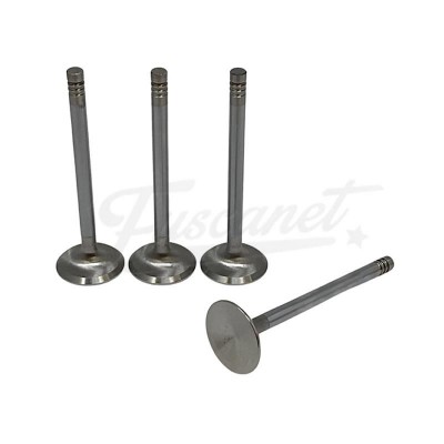 Juego Valvula inox 40mm SCAT
