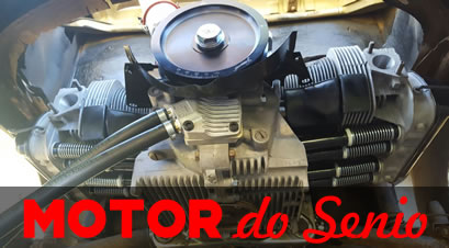 Motor do Senio